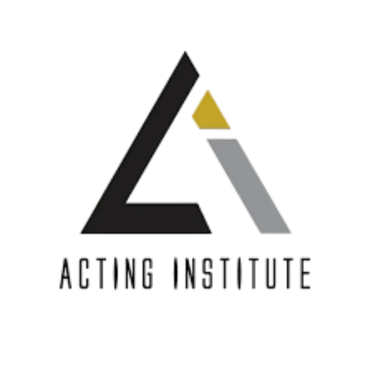Acting Institute